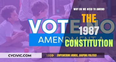 Amending the 1987 Constitution: An Urgent Need for Change