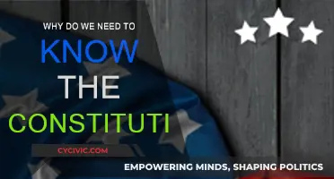 Understanding the Constitution: Our Rights and Freedoms