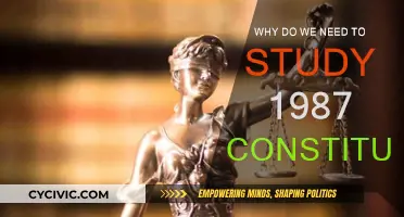 Understanding the Foundation of Our Nation: 1987 Constitution