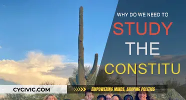 Understanding Our Nation's Foundation: Studying the Constitution
