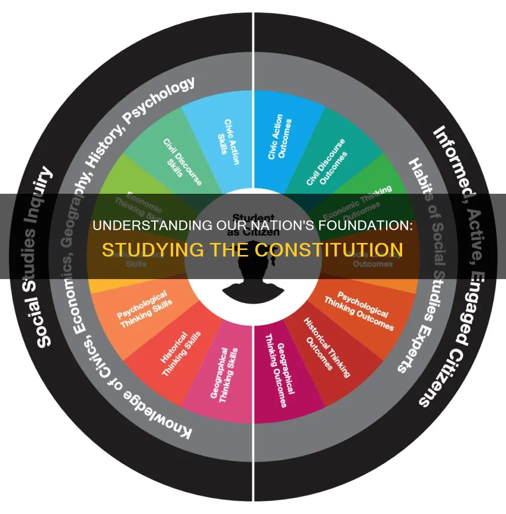 why do we need to study the constitution
