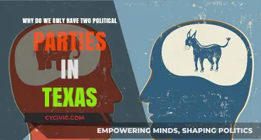 Texas Two-Party System: Historical Roots and Modern Political Dynamics