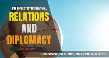 International Relations and Diplomacy: Understanding Global Dynamics