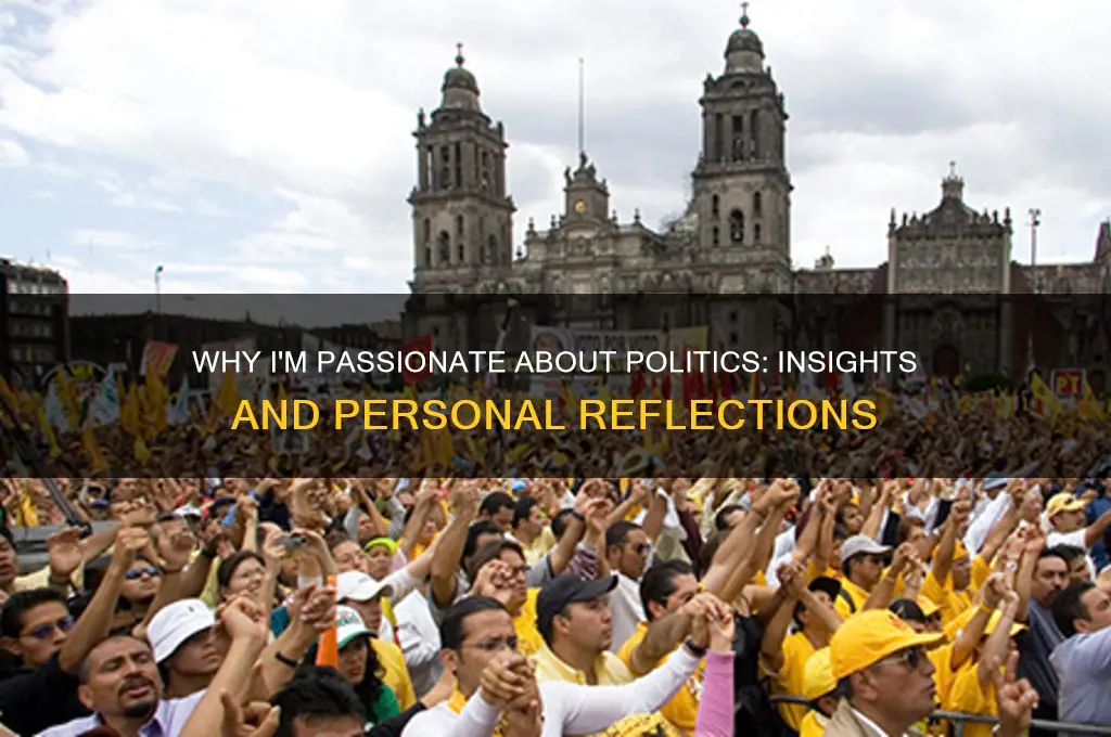 why do you like politics