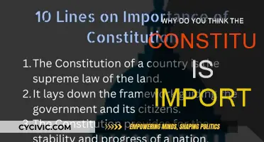 The Constitution: Our Nation's Vital Foundation