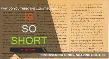 The Constitution: Concise and Powerful