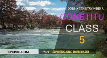 Constitution: Country's Foundation and Future