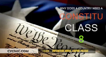 Understanding a Country's Constitution: Why It Matters