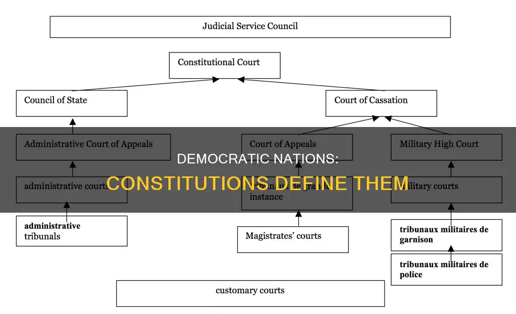 why does a democratic country need a constitution meritnation