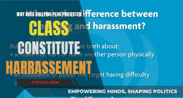 Bullying, Protected Classes, and Harassment: Understanding the Overlap