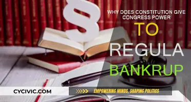Congress's Power to Regulate Bankruptcy: Why?
