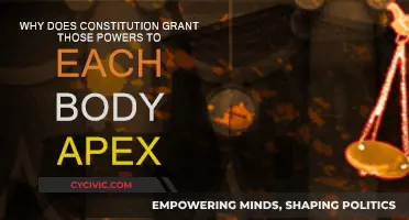 Constitution: Powers Granted to Each Body's Apex Explained