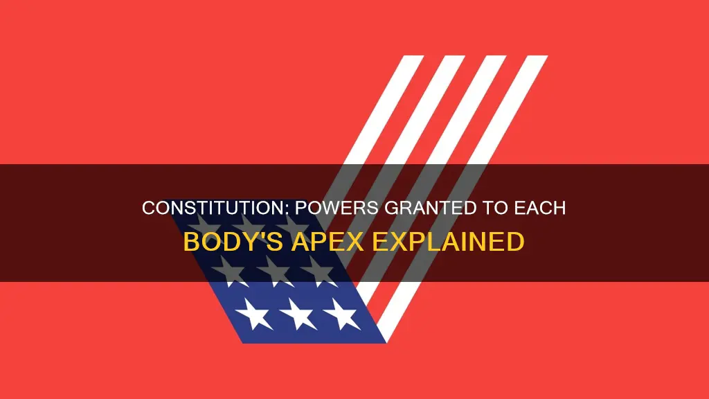 why does constitution grant those powers to each body apex