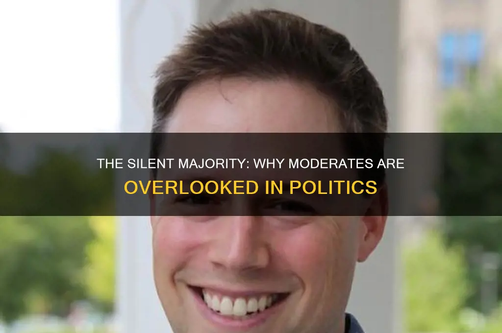 why does every political party ignore the moderates