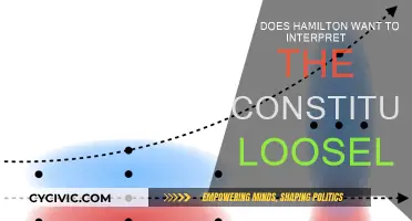 Hamilton's Loose Constitution: Power and Flexibility