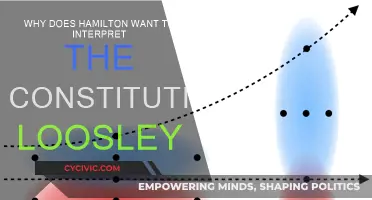 Hamilton's Loose Interpretation: Why Flexibility?