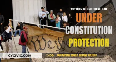 Hate Speech: Beyond Constitutional Protection