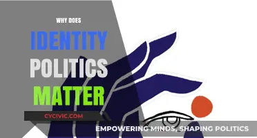Why Identity Politics Matters: Shaping Society, Power, and Representation