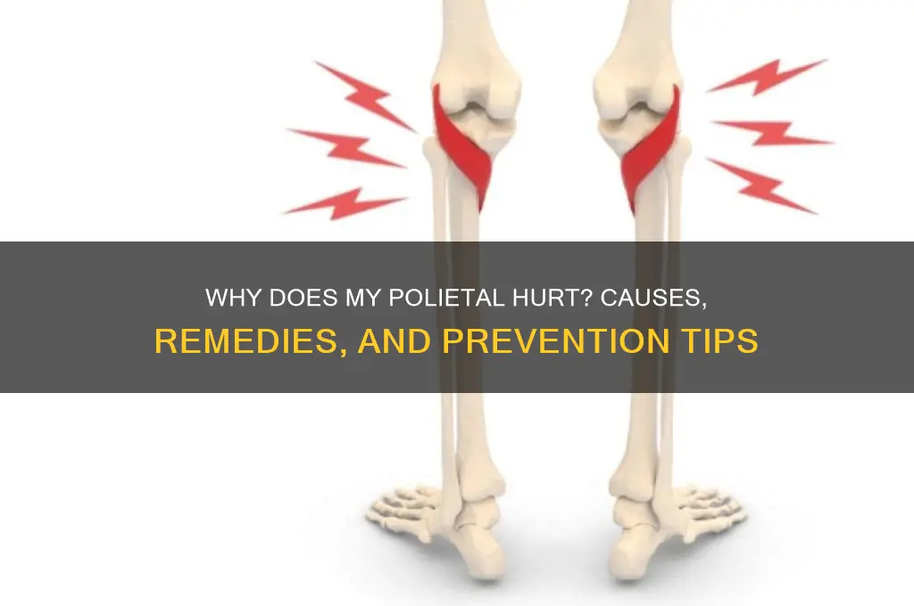 why does my politeal hurt