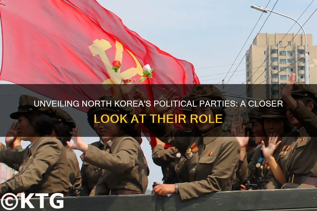 why does north korea have political parties