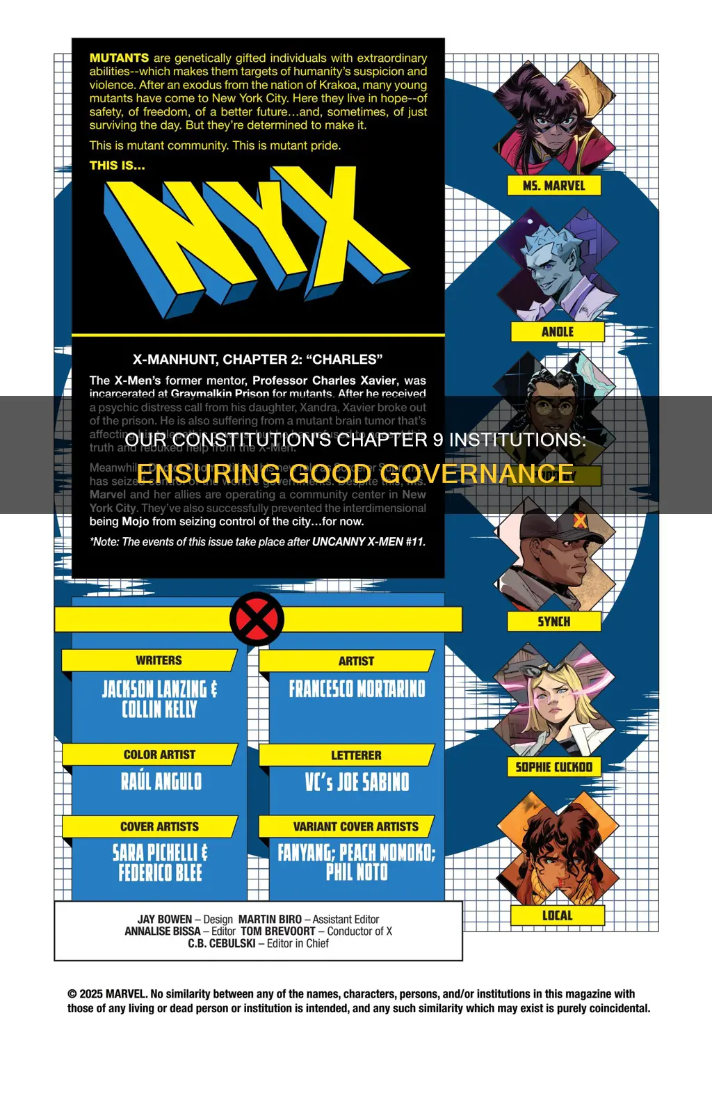 why does our constitution contain provision for chapter 9 institutions