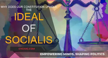 Socialism: Our Constitution's Ideal Upholding Equality
