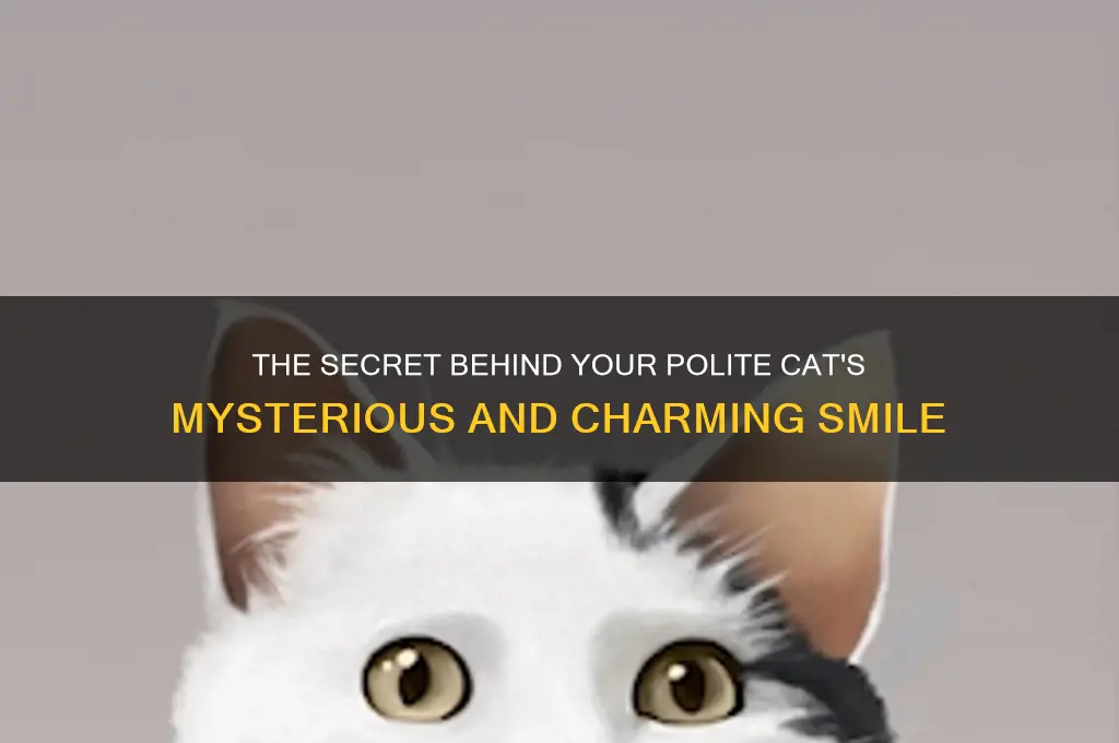 why does polite cat smile