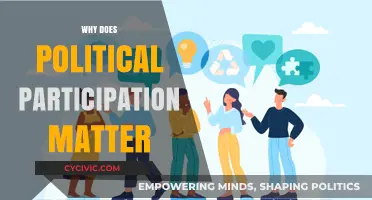 Why Political Participation Shapes Societies and Drives Democratic Progress