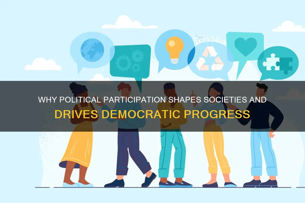 why does political participation matter