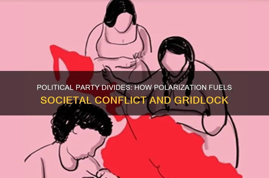 why does political party divide cause problems