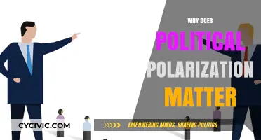 Political Polarization's Impact: Dividing Societies, Weakening Democracies, and Fueling Conflict