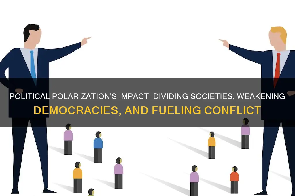 why does political polarization matter