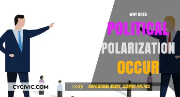 Understanding the Roots of Political Polarization: Causes and Consequences