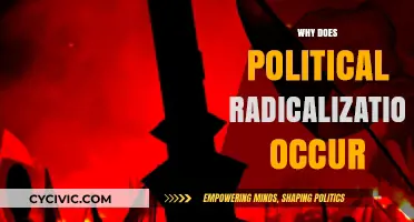 Understanding the Roots of Political Radicalization: Causes and Consequences