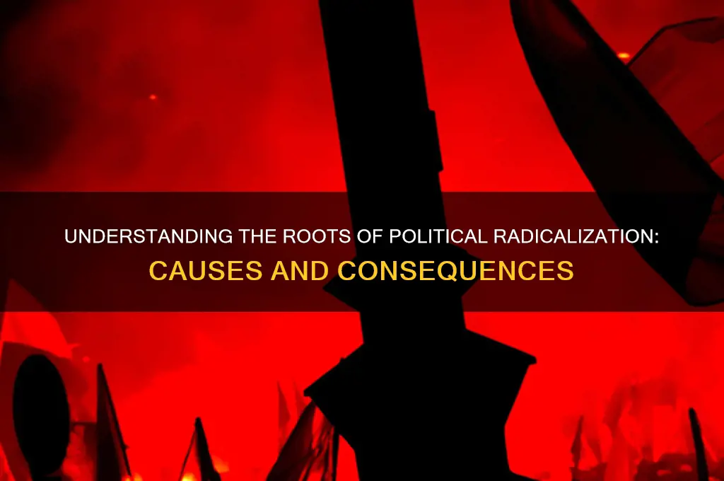 why does political radicalization occur