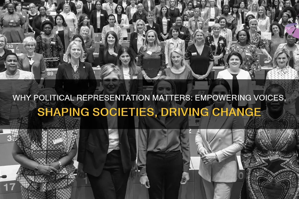 why does political representation matter