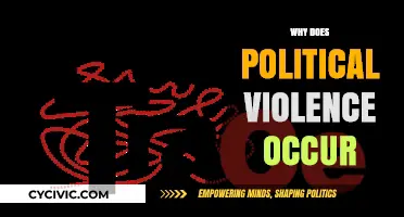 Understanding the Roots of Political Violence: Causes and Consequences