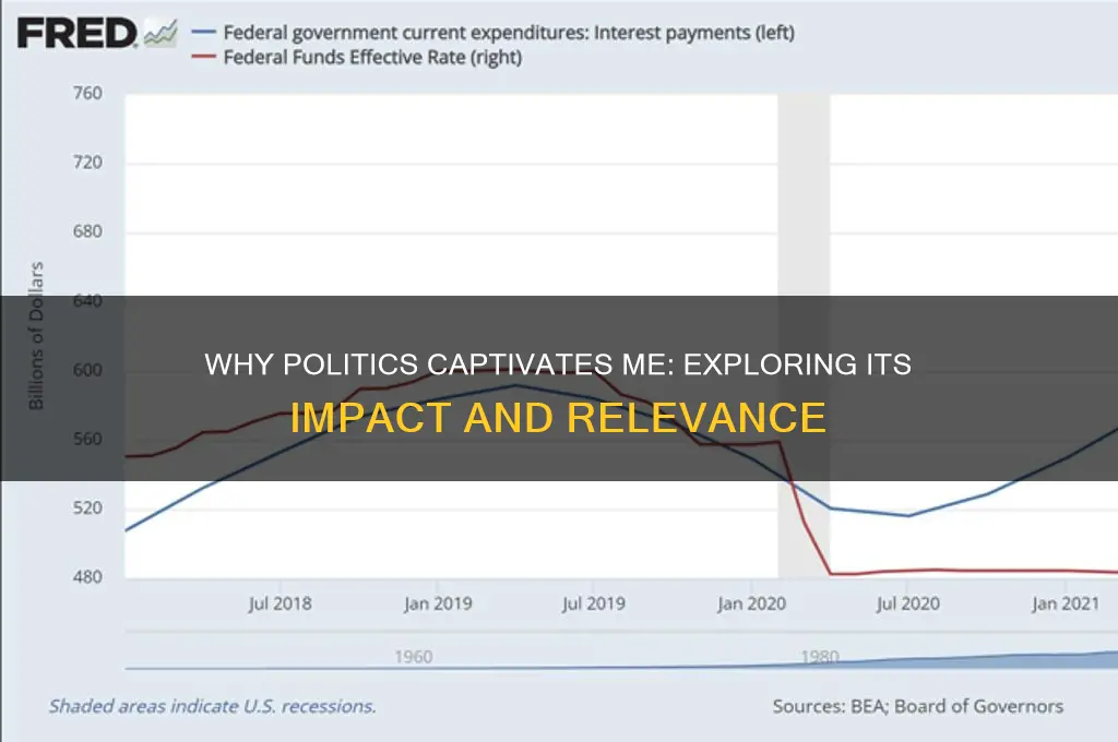 why does politics interest you