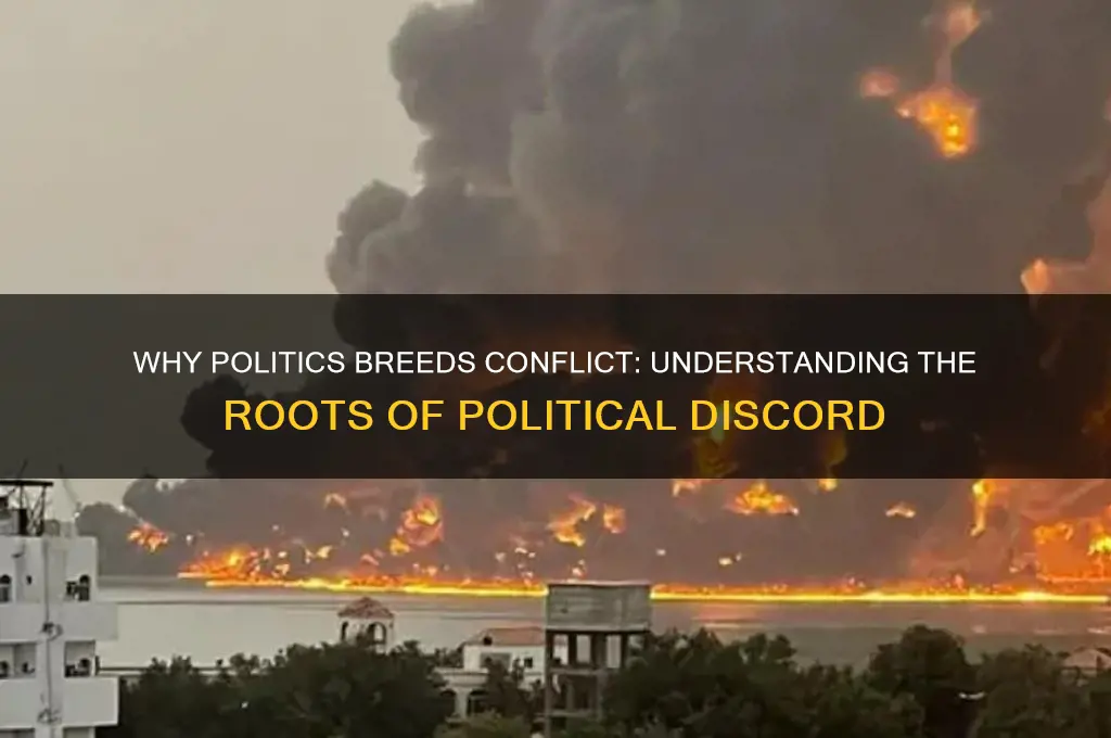 why does politics involve conflict