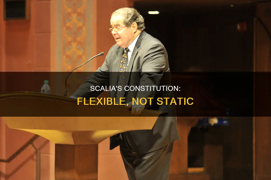 why does scalia argue that his constitution is very flexible
