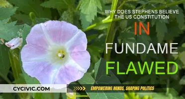 Stephen's View: US Constitution's Fundamental Flaws