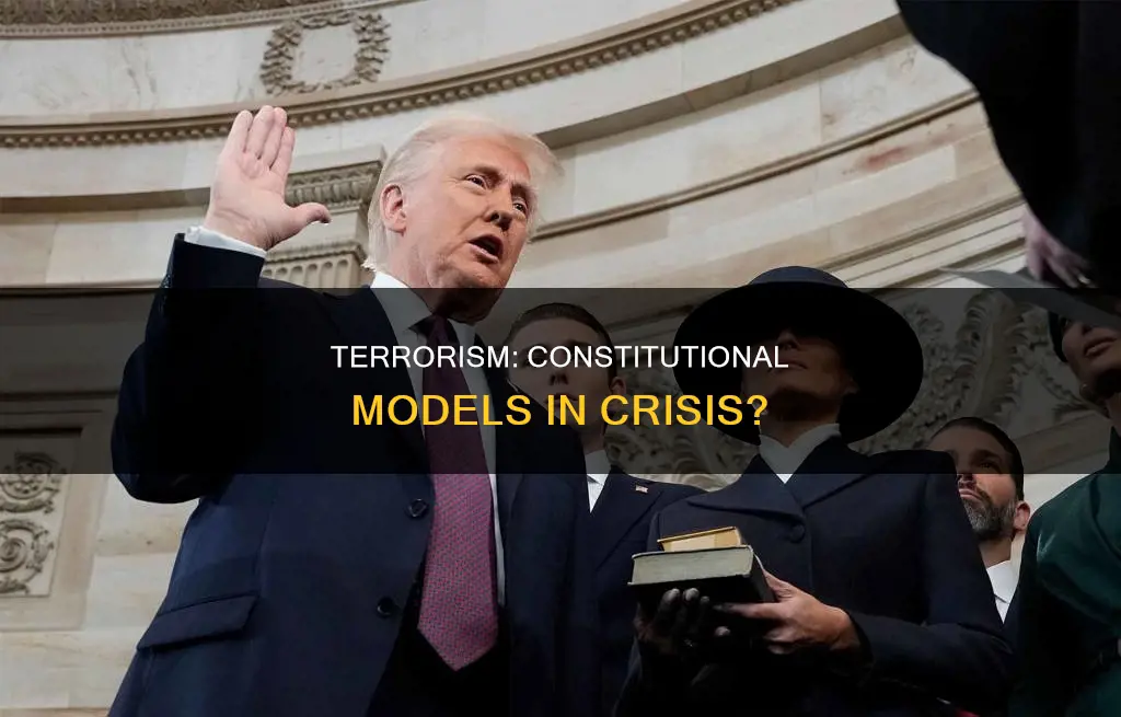 why does terrorism confound the existing constitutional models