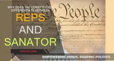 Understanding the US Constitution's Chamber Representation