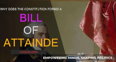 The Constitution's Ban on Bills of Attainder: Why?
