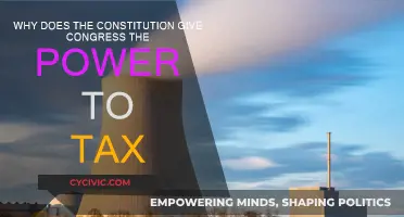 Congress's Power to Tax: Exploring Constitutional Roots