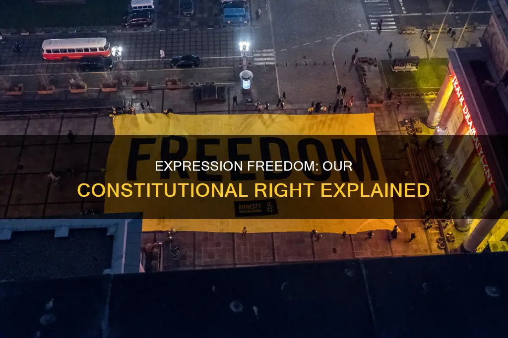 why does the constitution guarantee freedom of expression