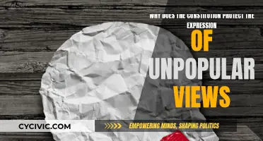 The Constitution's Defense of Unpopular Expression