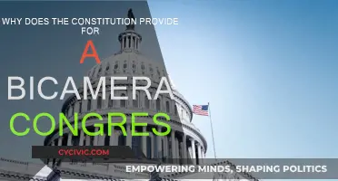 Bicameral Congress: Why the Constitution's Design?