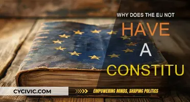 The EU's Constitutional Conundrum: Why No Single Document?