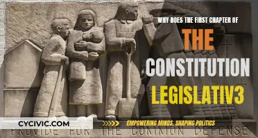 The Constitution's First Chapter: Legislative Power Explained